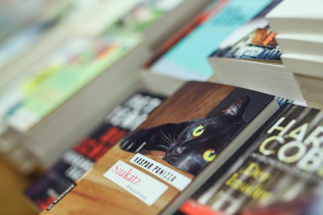 Banner ...und manchmal sogar eine Katze in Buchform...
