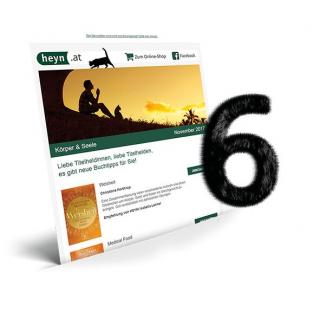 Service Bild6