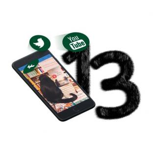 Service Bild13