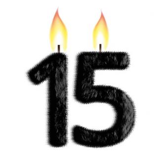 Service Bild15