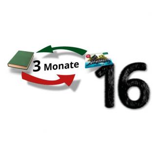Service Bild16