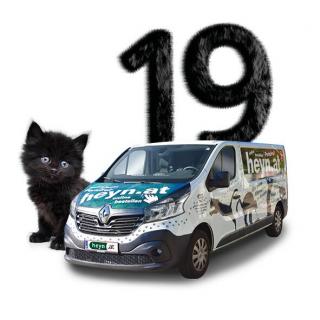 Service Bild19