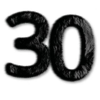Service Bild30