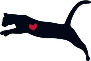 Katze springend links
